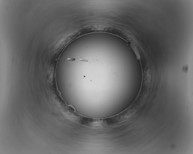 X0000111810505200907301236