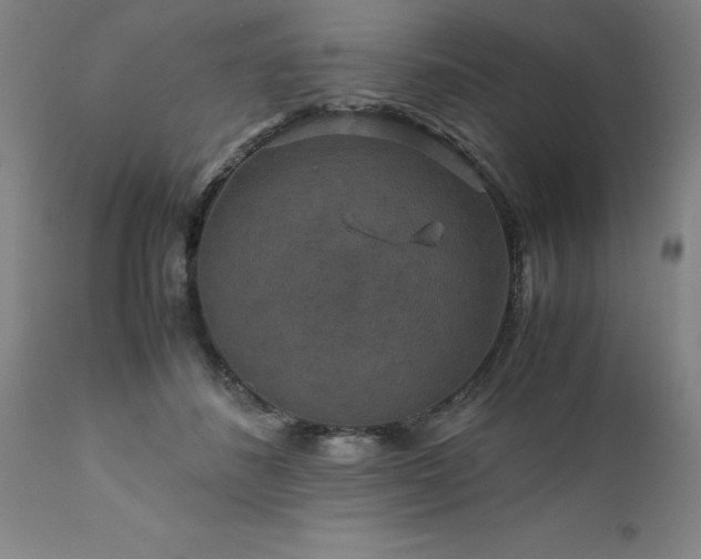 X0000111810508200907301236