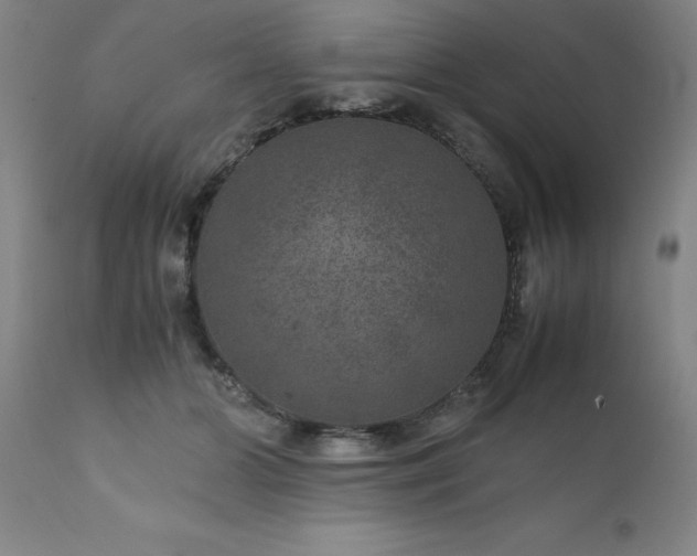 X0000111810510200907301236