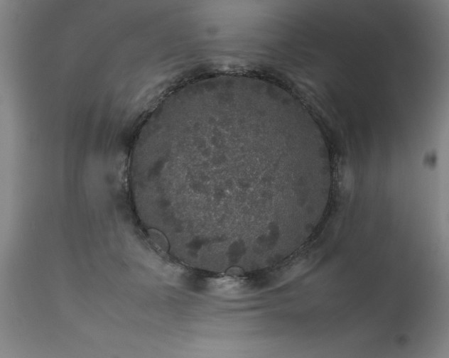 X0000111810511200907301236