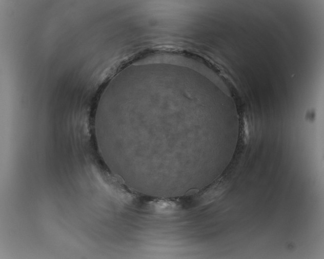 X0000111810512200907301236