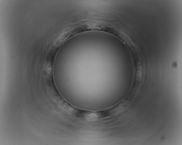 X0000111810513200907301236