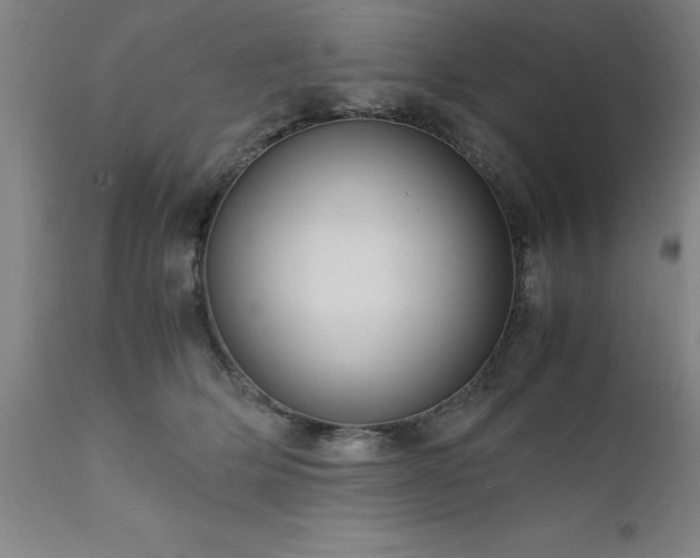 X0000111810514200907301236
