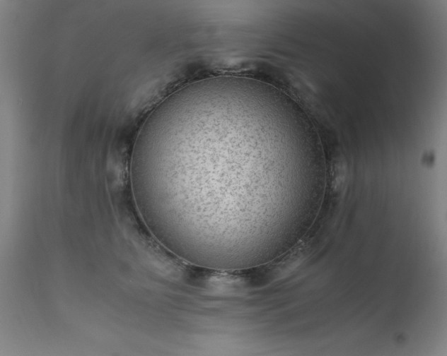X0000111810515200907301236
