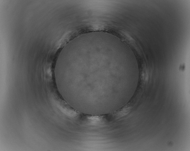 X0000111810516200907301236