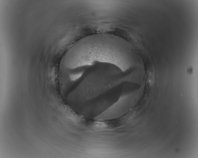 X0000111810519200907301236
