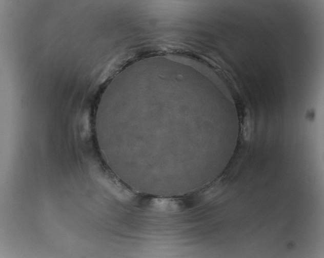 X0000111810520200907301236