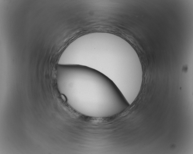 X0000111810521200907301236