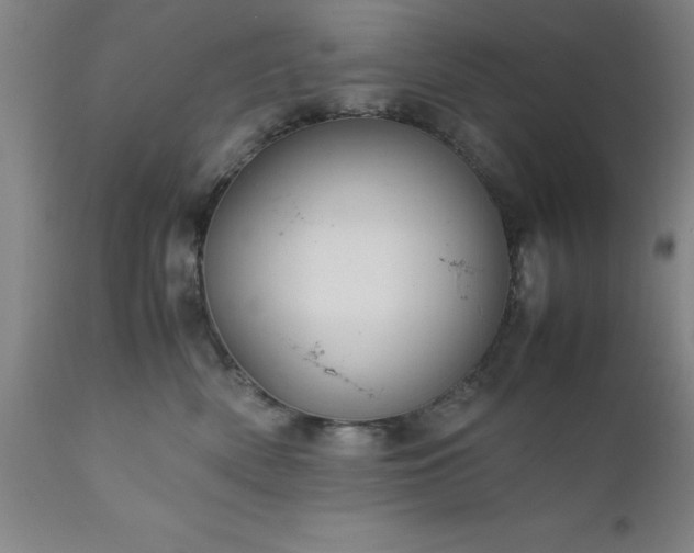 X0000111810522200907301236