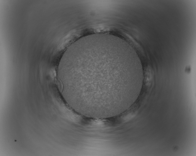X0000111810523200907301236