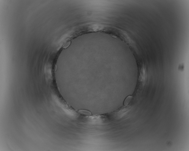 X0000111810524200907301236