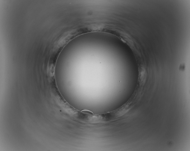 X0000111810525200907301236