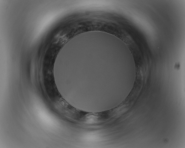 X0000111810526200907301236