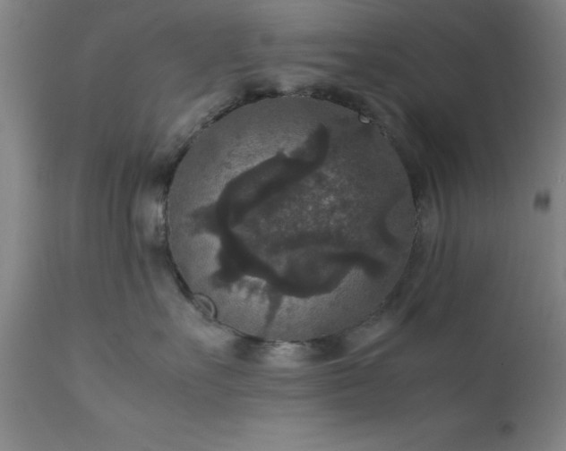 X0000111810527200907301236