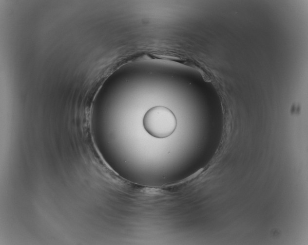 X0000111810528200907301236