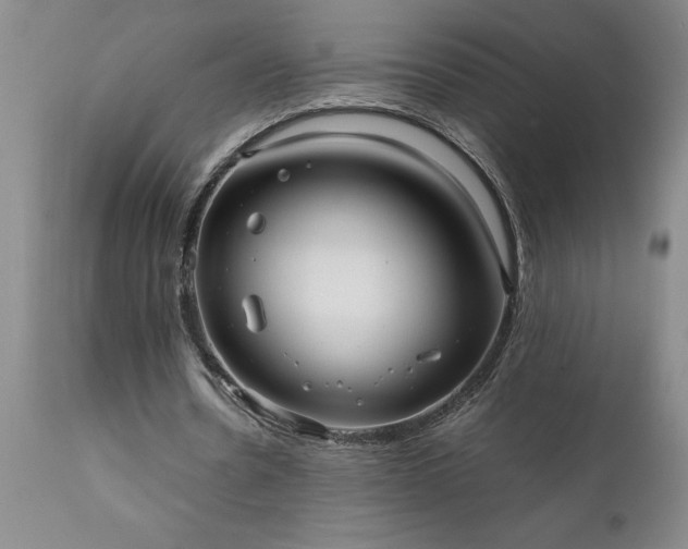 X0000111810530200907301235