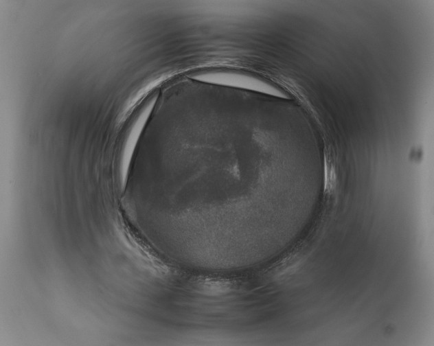X0000111810531200907301235