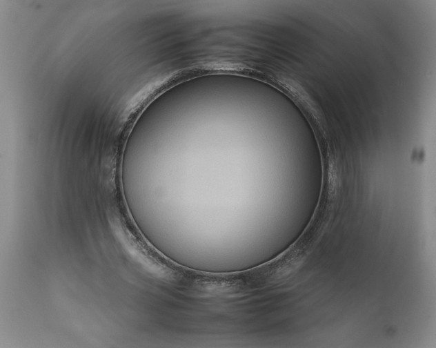 X0000111810533200907301235