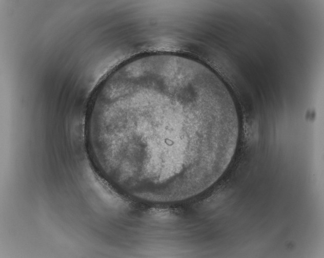 X0000111810534200907301235