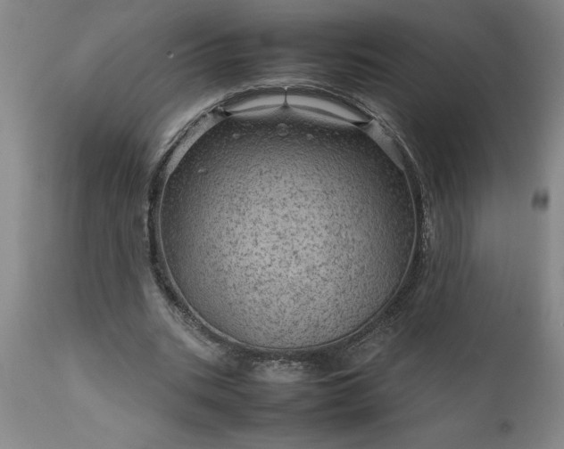 X0000111810535200907301235