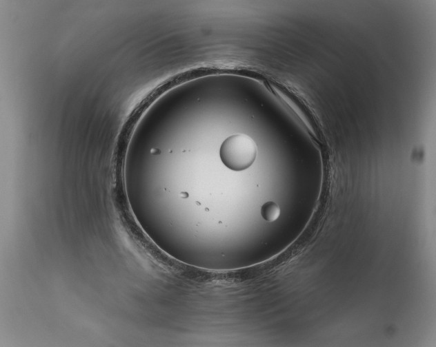 X0000111810536200907301235