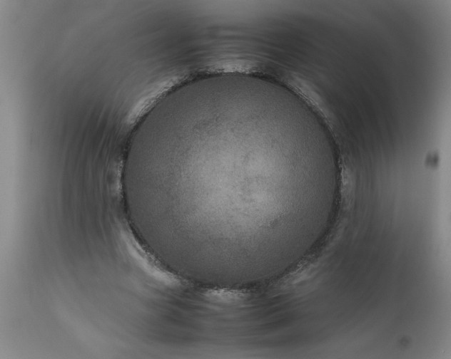X0000111810537200907301235