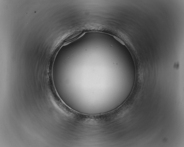X0000111810538200907301235