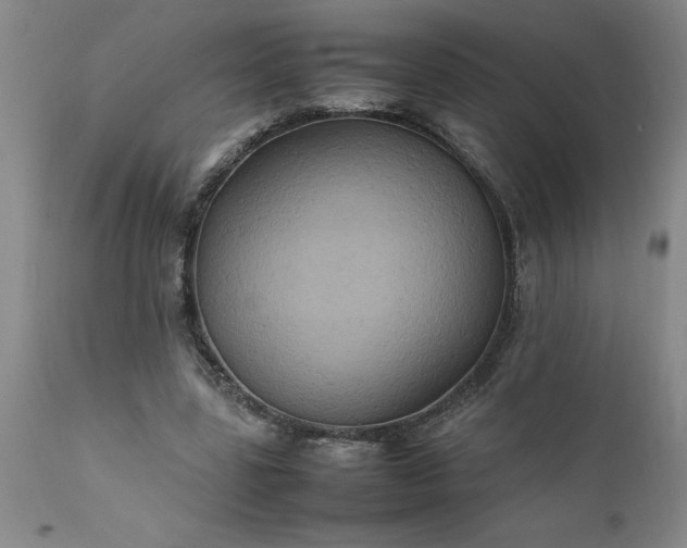 X0000111810539200907301235