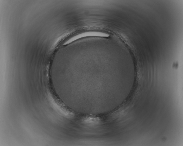 X0000111810543200907301235