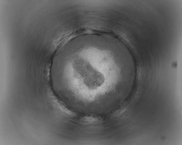 X0000111810545200907301235