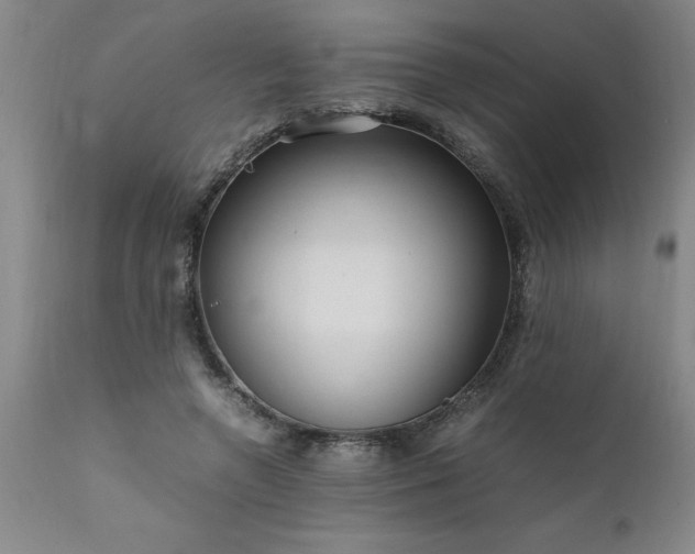 X0000111810546200907301235