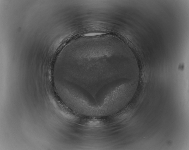 X0000111810547200907301235