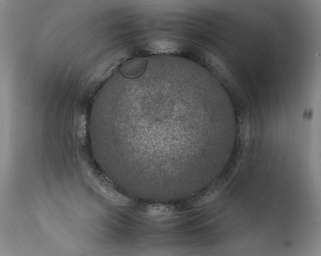 X0000111810549200907301235