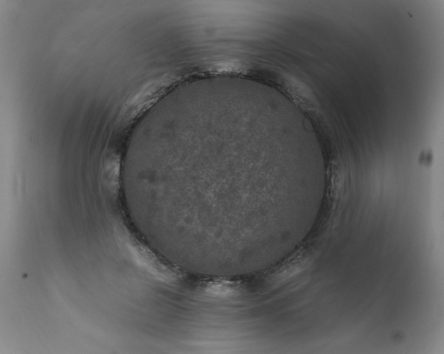 X0000111810550200907301235