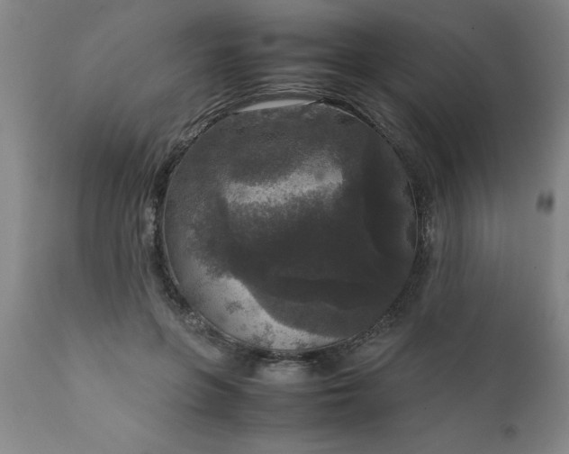 X0000111810551200907301235