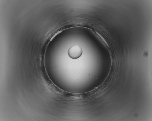 X0000111810552200907301235