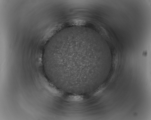 X0000111810553200907301235