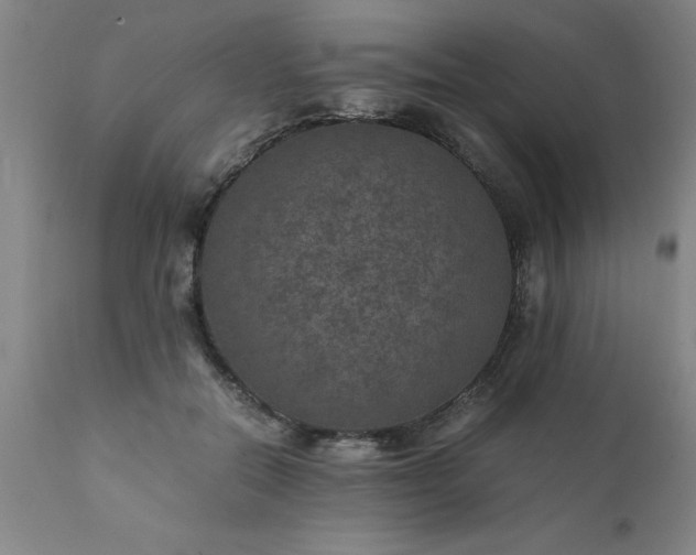 X0000111810554200907301235