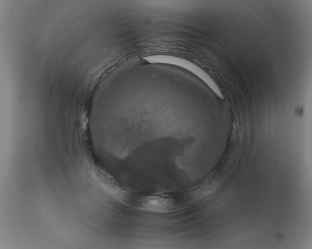X0000111810555200907301235