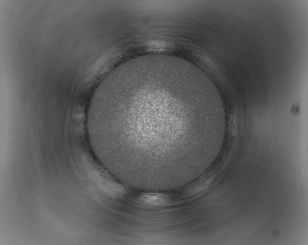 X0000111810557200907301235