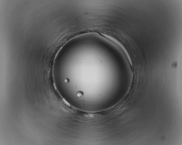 X0000111810558200907301235
