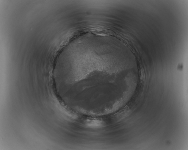 X0000111810559200907301235