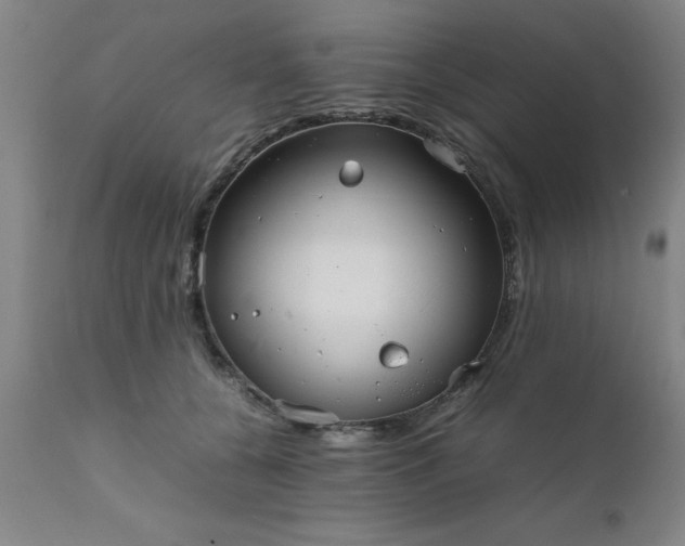 X0000111810560200907301236