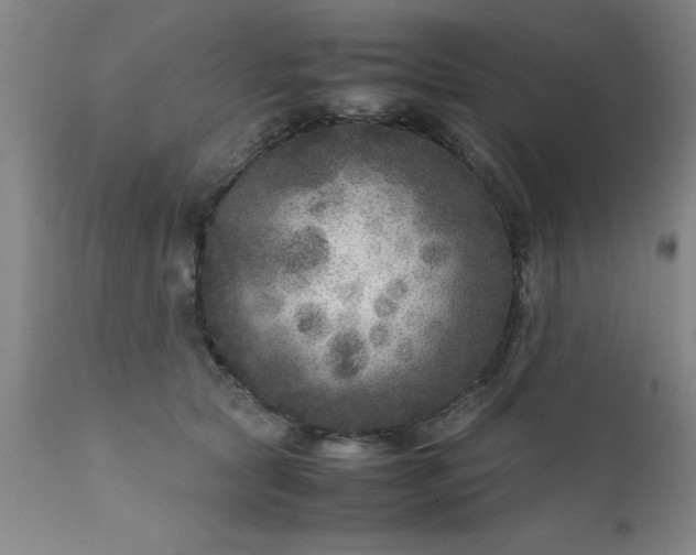X0000111810561200907301236