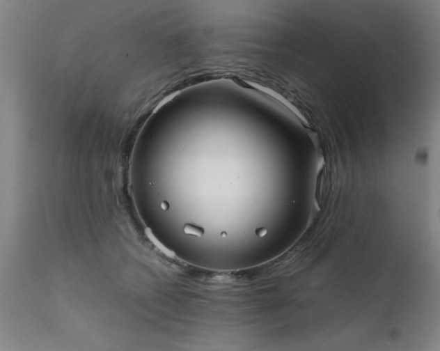 X0000111810562200907301236