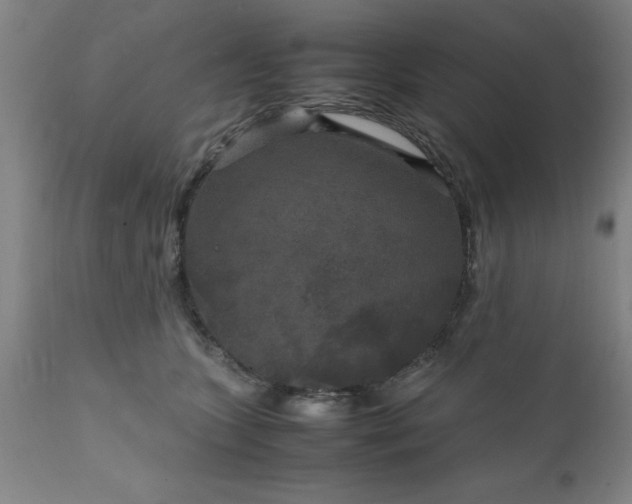 X0000111810563200907301236