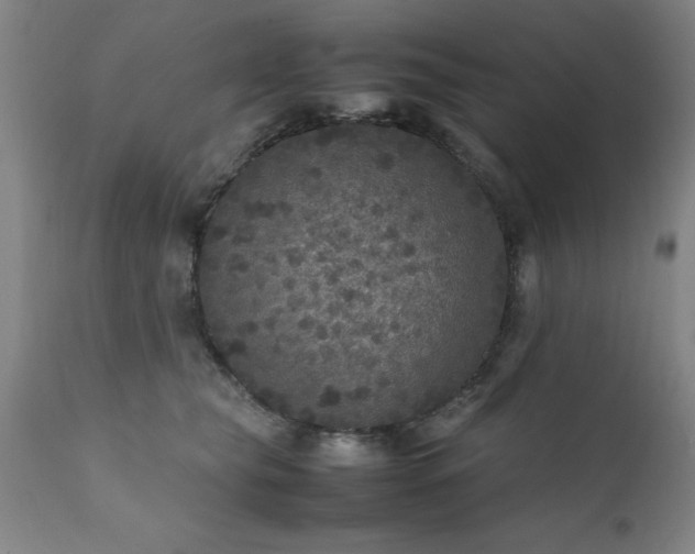 X0000111810565200907301236