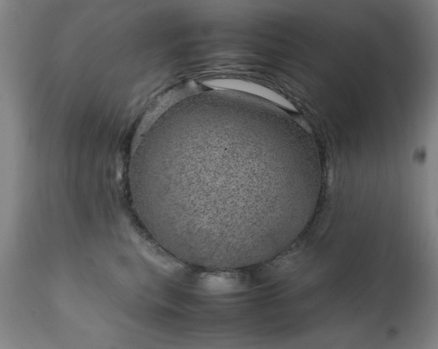 X0000111810567200907301236