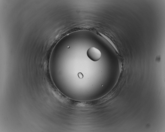 X0000111810568200907301236