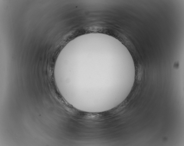 X0000111810569200907301236